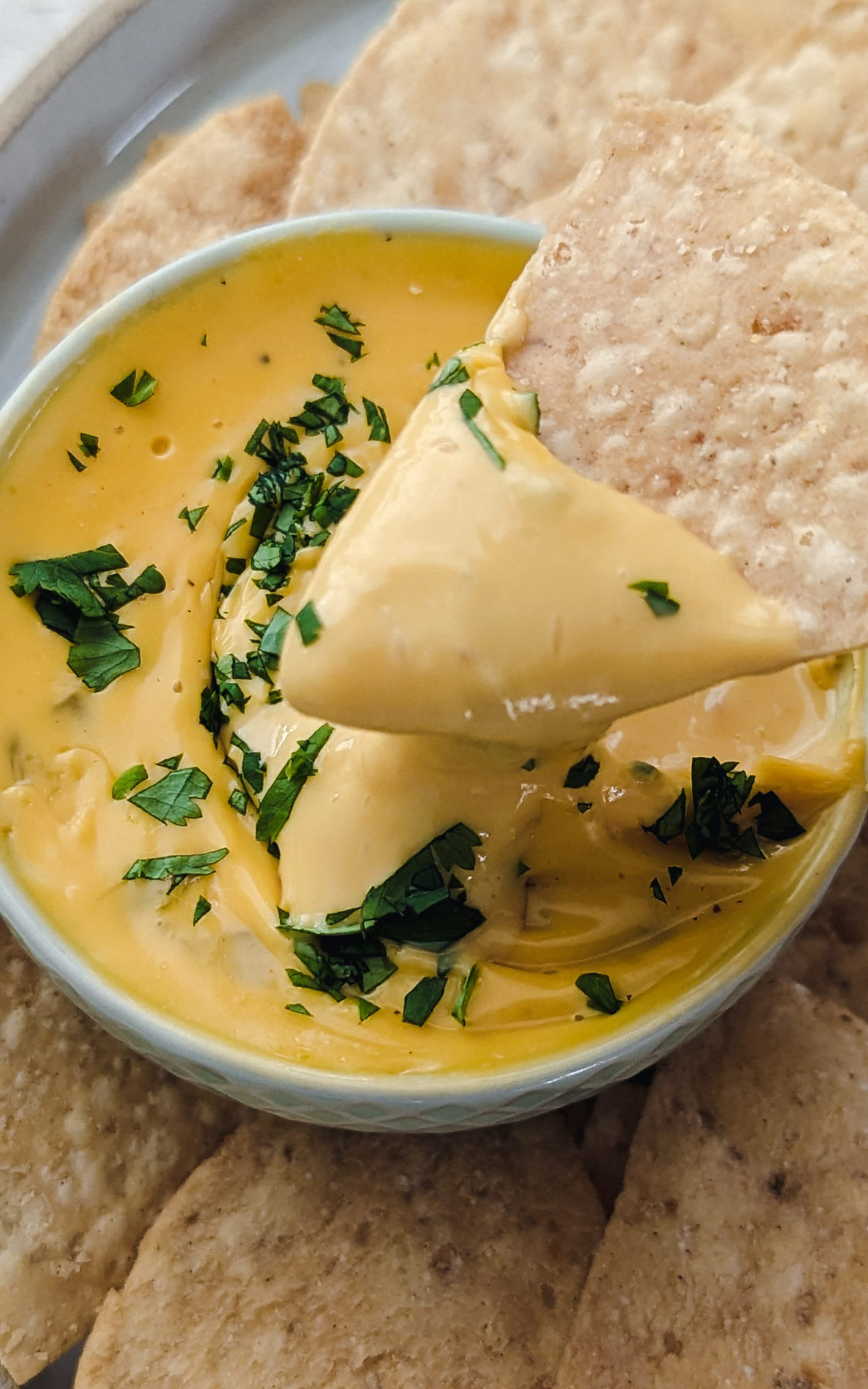 Copycat Dairy-Free Chili's Queso - The Defined Dish