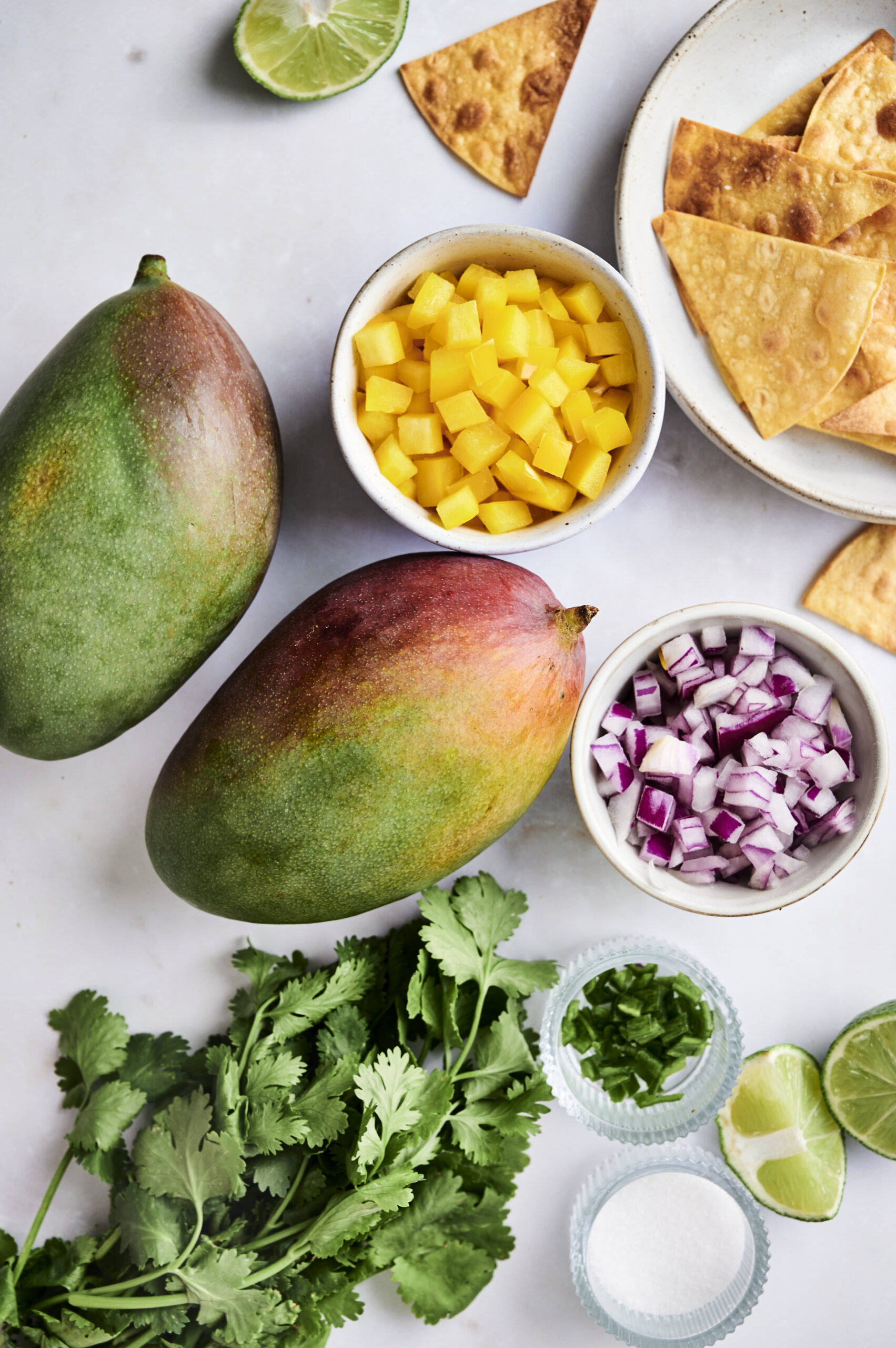 Ingredients for mango salsa. 