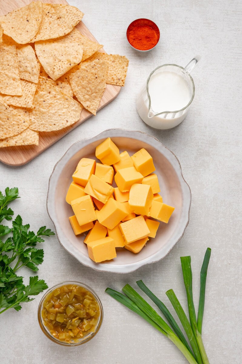 Ingredients for green chili queso dip 